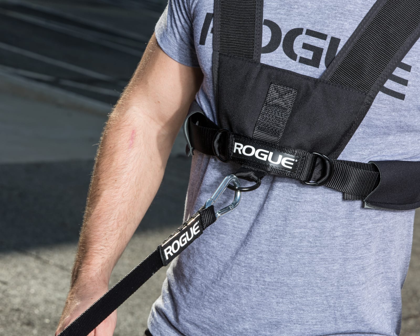 Pull 2025 harness fitness